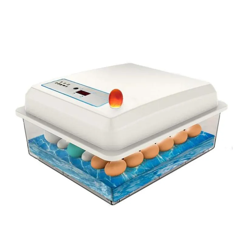 [Taxa Inclusa] Chocadeira Automtica P/ 20 Ovos - Incubadora Para Frango, Ganso, Pato E Aves